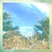 DECAL WINDOW CLING (Vel 3)