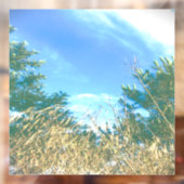 DECAL WINDOW CLING (Vel 2)