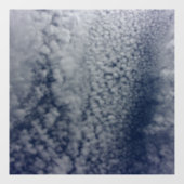 DECAL WINDOW CLING (Vel)