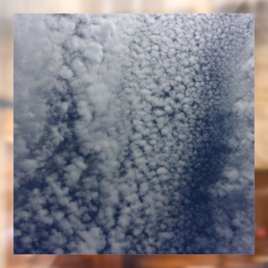 DECAL WINDOW CLING (Vel 2)