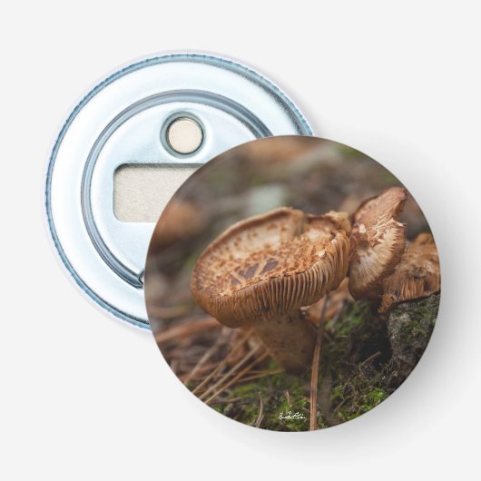 Décapsuleur aimanté, photo de champignons (Devant)
