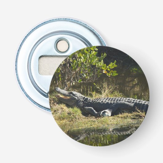 Décapsuleur Alligator américain se reposant le long d'une zone (Devant)
