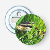 Décapsuleur Ball Python serpent dans l'herbe (Devant)