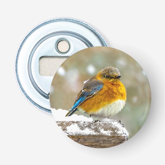 Décapsuleur Bleuet de l'Est en neige - Photo originale (Devant)