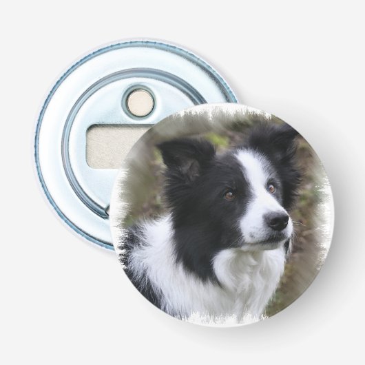 Décapsuleur Border collie art (Devant)