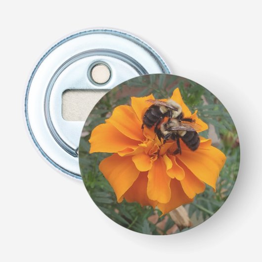 Décapsuleur Bourdons sur une fleur de souci (Devant)