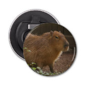 Décapsuleur Capybara (Devant)