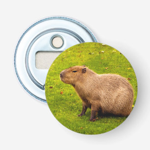 Décapsuleur Capybara
