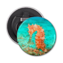 Caraibe tropicale caraïbe turquoise orange