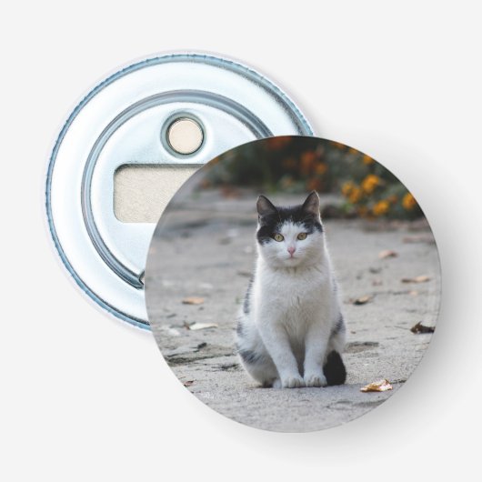 Décapsuleur Chat, Blanc, Animaux (Devant)