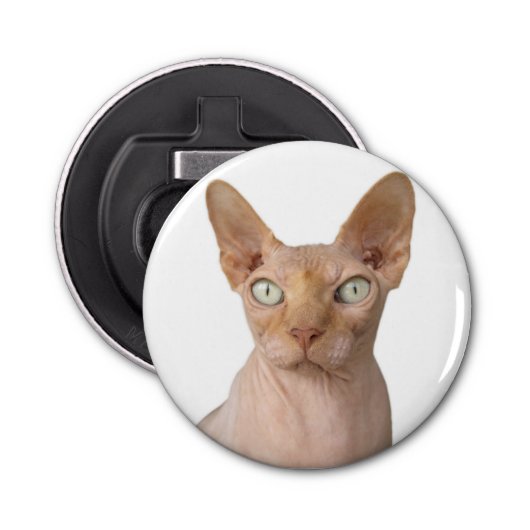 Décapsuleur Chat Sphynx sans cheveux (Devant)