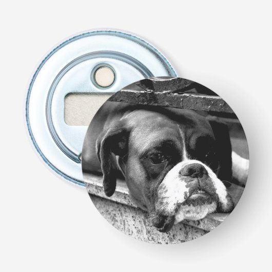 Décapsuleur Chien de boîte sur le rebord de fenêtre (Devant)