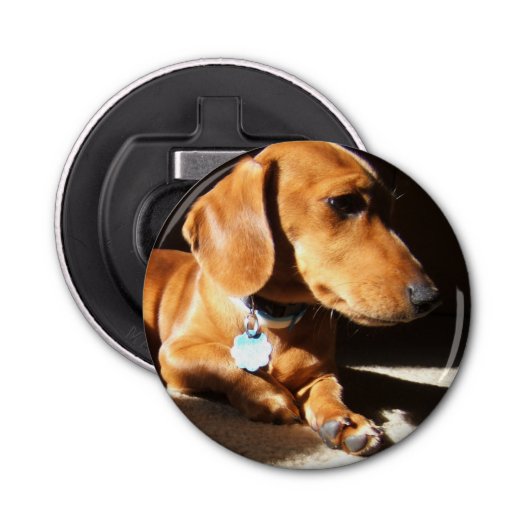 Décapsuleur Chien de teckel (Devant)