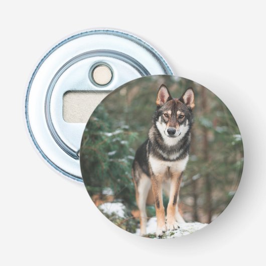 Décapsuleur Chien-loup (Devant)