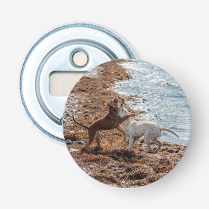 Décapsuleur Chiens sur la plage