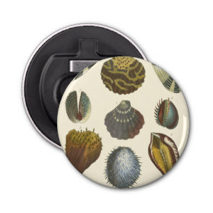 Décapsuleur Collection Conchology