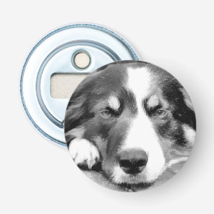 DÉCAPSULEUR COLLIE FRONTALIÈRE
