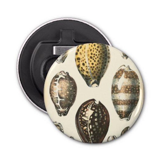 Décapsuleur Coquillages De Forme Unique (Devant)