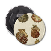 Décapsuleur Coquilles antiques craquelées (Devant)