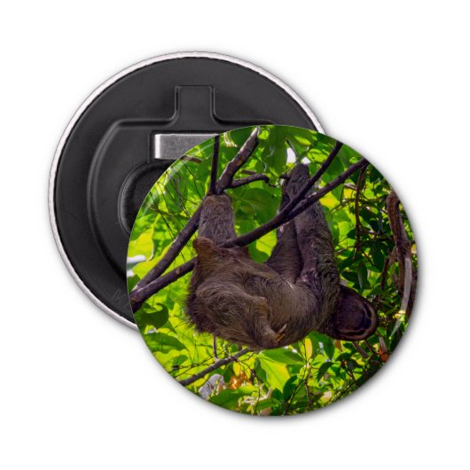 Décapsuleur Costa Rica - Happy Lazy Sloth, Antonio Manuel NP (Devant)