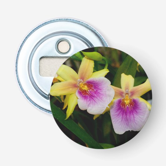 Décapsuleur Coucher de soleil de Miltonia (Devant)