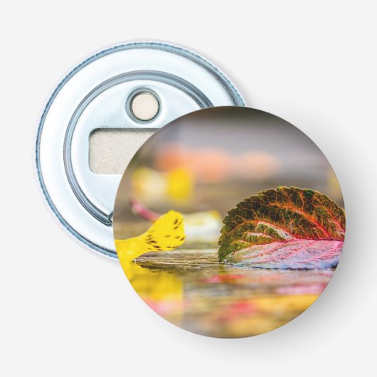 Décapsuleur Couleurs d'automne (Devant)