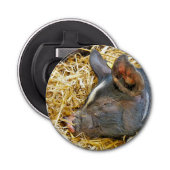 DÉCAPSULEUR COUPER (Devant)