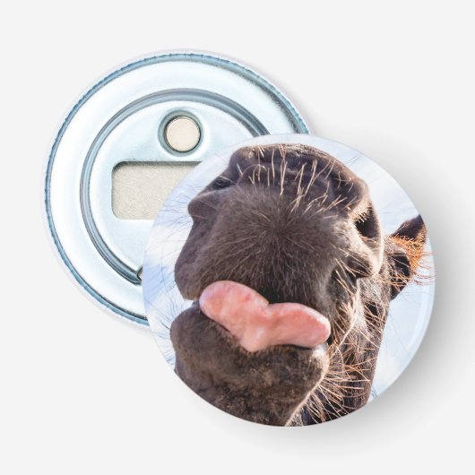 Décapsuleur Drôle direct de la bouche du cheval Photo (Devant)