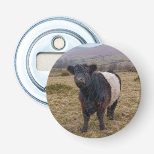 Décapsuleur Fier debout de la ceinture Galloway sur Dartmoor F