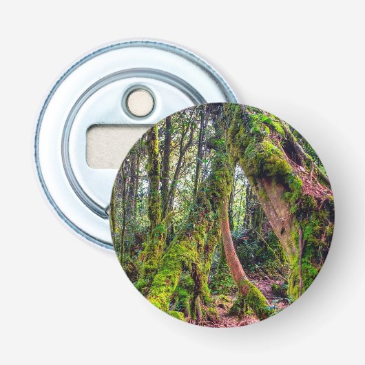 Décapsuleur Forêt moussue (Devant)