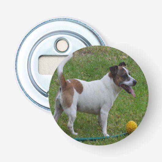 Décapsuleur Fox Terrier Avec Sa Boule Jaune, Ouverture De Bout (Devant)