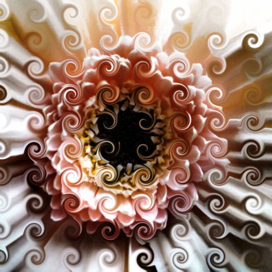 DÉCAPSULEUR GERBERAS