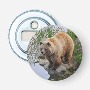Décapsuleur Grizzly Oear Wildlife Animal Photographie