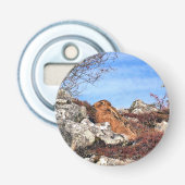 DÉCAPSULEUR HARE (Devant)