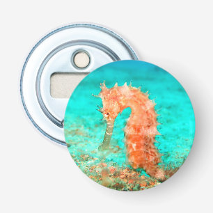 Décapsuleur Hippocampe tropical caraïbe turquoise orange 