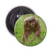 Décapsuleur Jambo Le Chimp Unique Sans Cheveux (Devant)