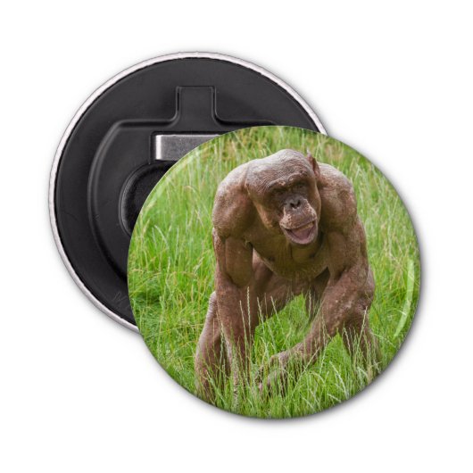 Décapsuleur Jambo Le Chimp Unique Sans Cheveux (Devant)