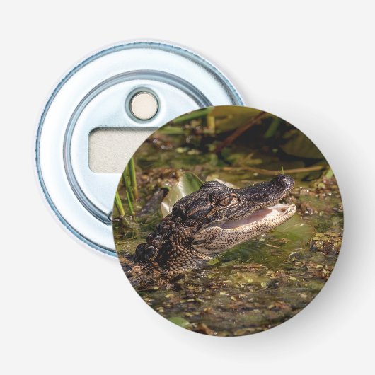 Décapsuleur Jeune Alligator (Devant)