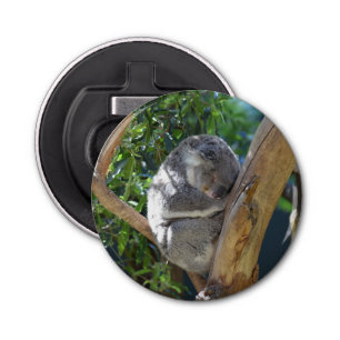 Décapsuleur Koala dormant dans l'arbre