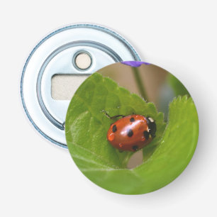 Décapsuleur Ladybug sur les fleurs de violet doux