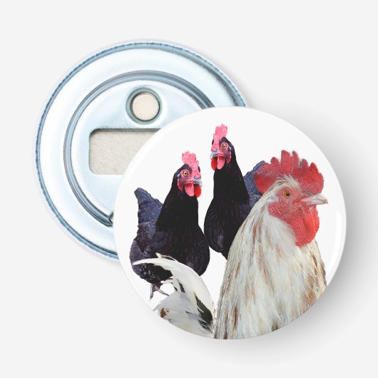 Décapsuleur "Le coq blanc et ses poules noires" (Devant)