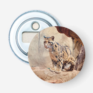 Décapsuleur léopard nébuleux image nature faune exotique