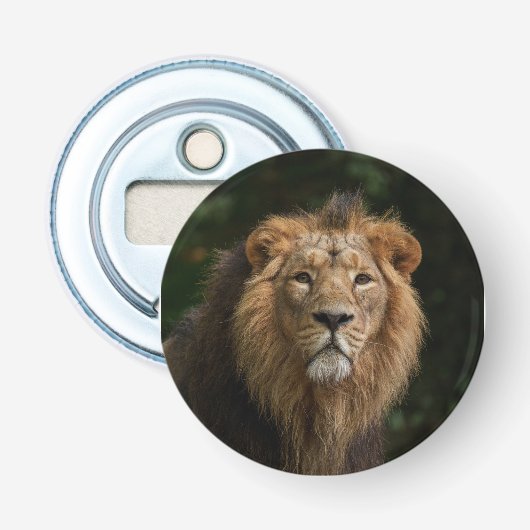 Décapsuleur Lion dans les ombres (Devant)