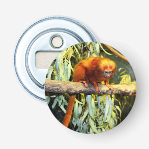 Décapsuleur Lion d'or Tamarin observant, ouverture de bouteill