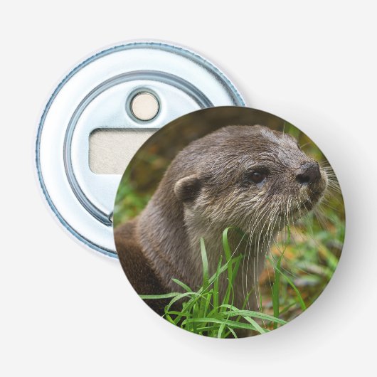 Décapsuleur Loutre éclaboussée (Devant)