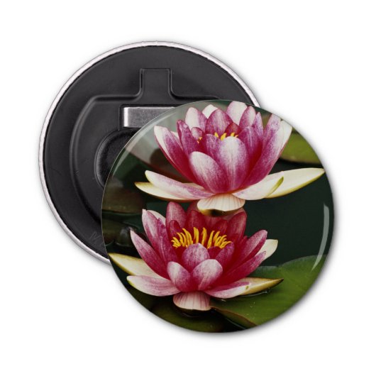 Décapsuleur Lys d'eau hybrides (Devant)