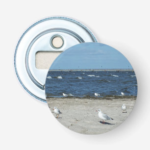 Décapsuleur mer, eau, mouette, oiseau, voyage, bleu, ciel,