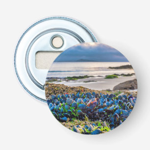 Décapsuleur Moules