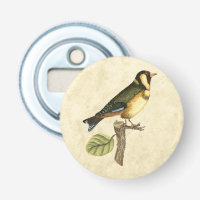 Oiseau jaune et vert perché sur une petite branche