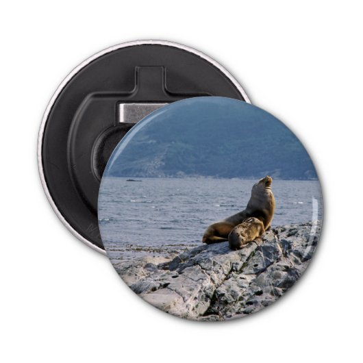 Décapsuleur Otaries dans le canal beagle - Argentine (Devant)